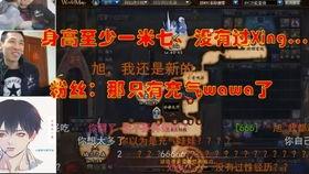 北京宝哥最新爆料,最新爆料背后的惊人真相