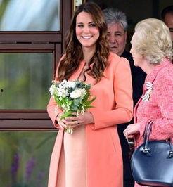 凯特王妃最新爆料视频大全,最新爆料视频大盘点