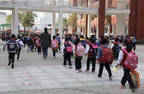 吴川小学爆料案件最新,真相逐步浮出水面，警方全力调查