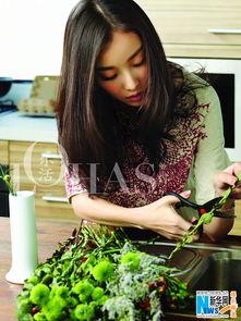 若森最新作品爆料,穿越时空的奇幻冒险之旅