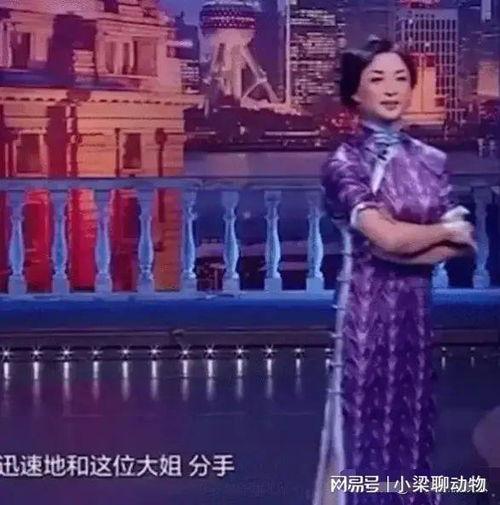 金星爆料女艺人名单最新,揭秘娱乐圈最新女艺人名单，真相令人震惊！